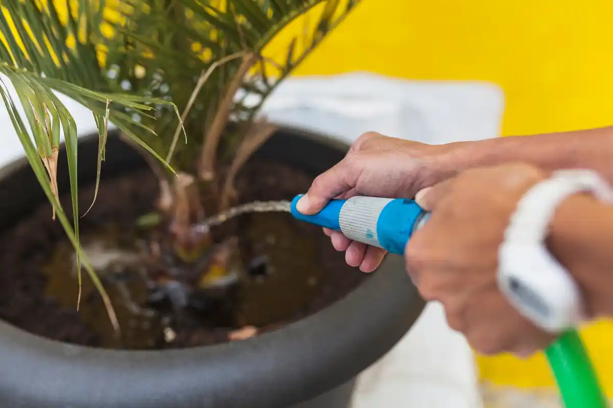 homemade organic pesticide garden spray