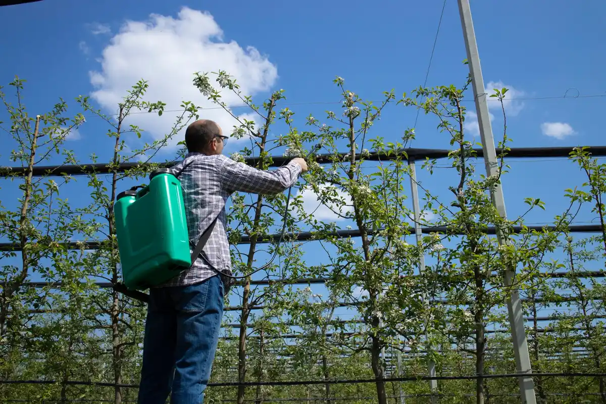 organic pest control garden netherlands