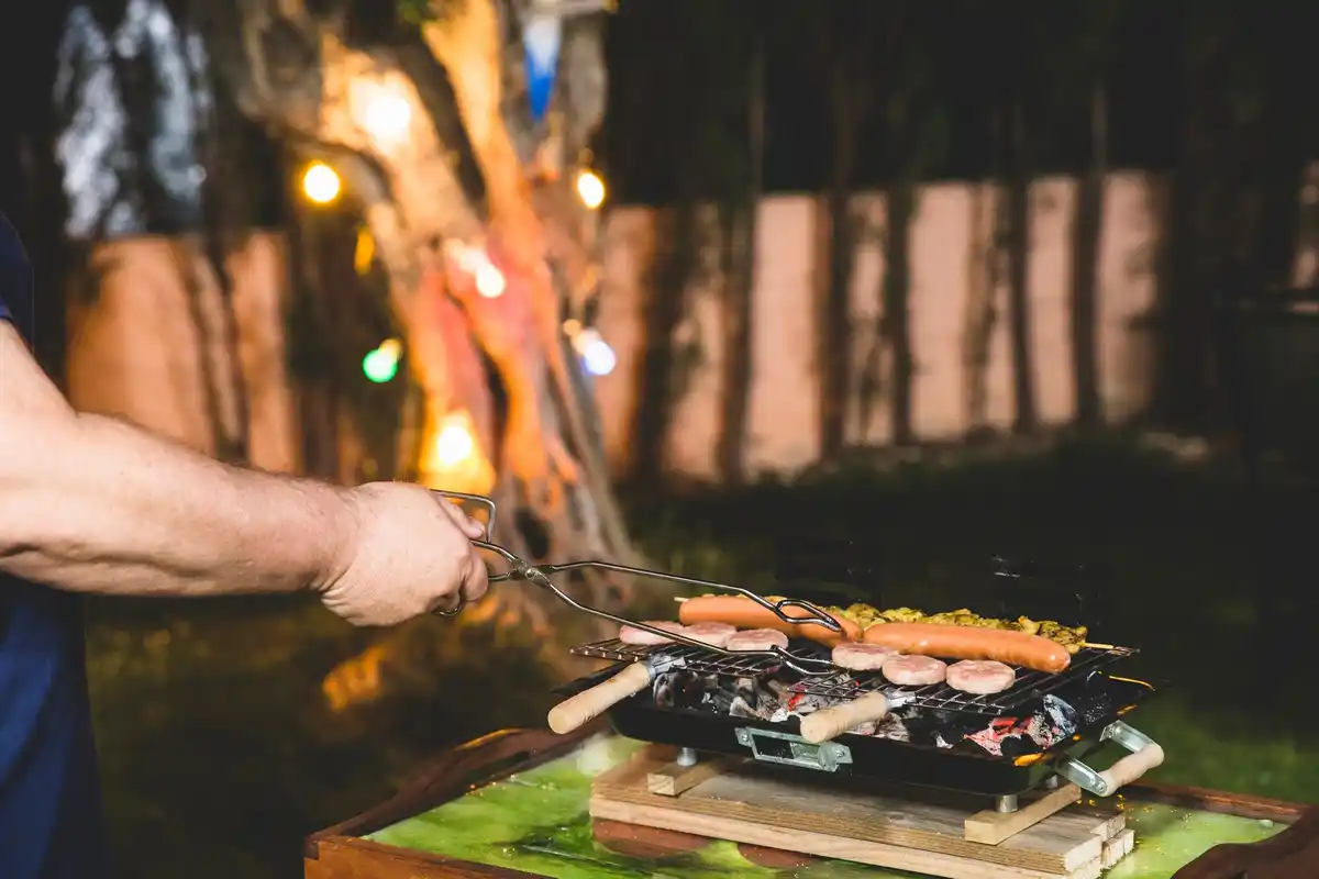 backyard barbecue with mosquito net