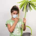 healthy indoor plants pest control natural methods