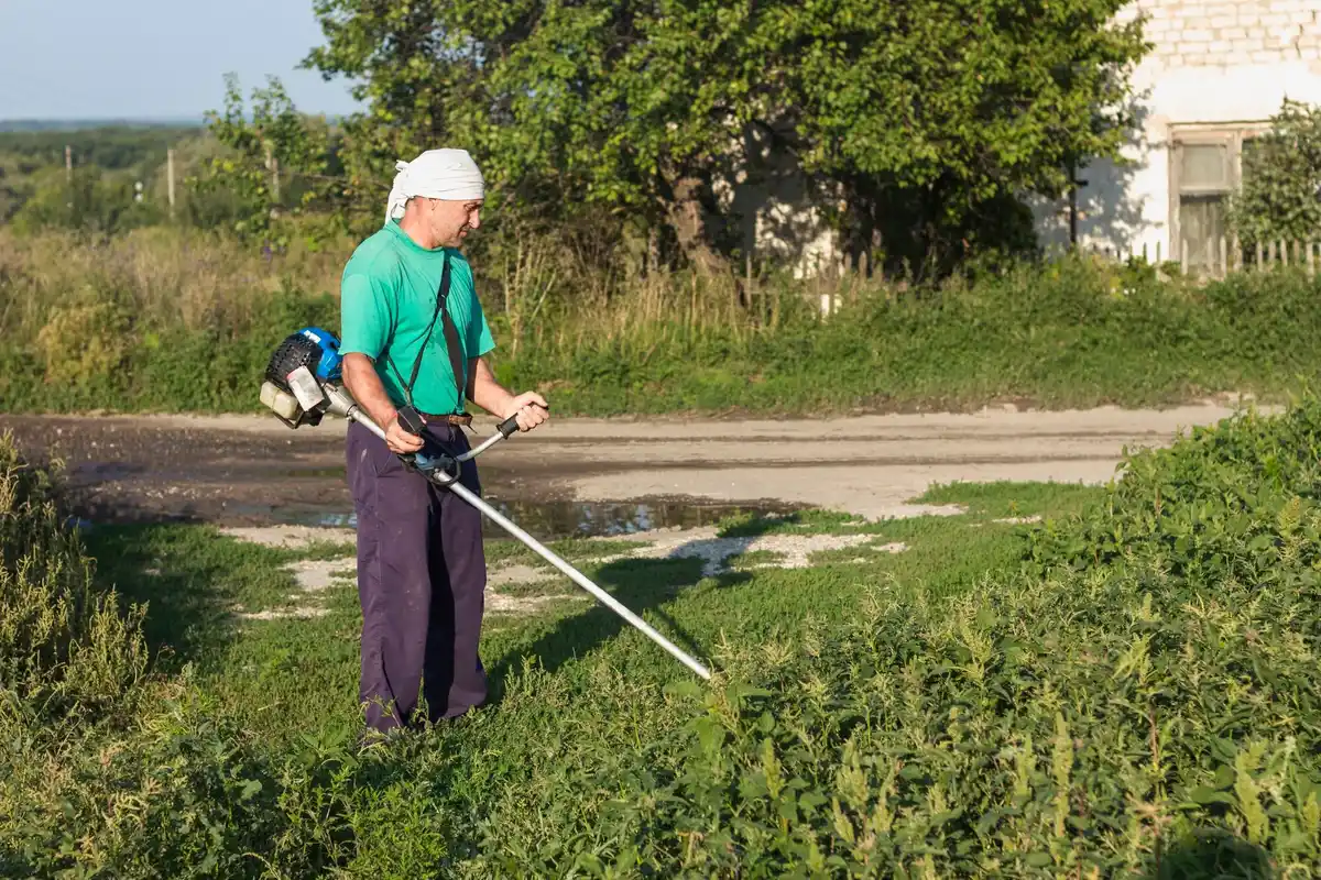 gardener mowing lawn holland spring