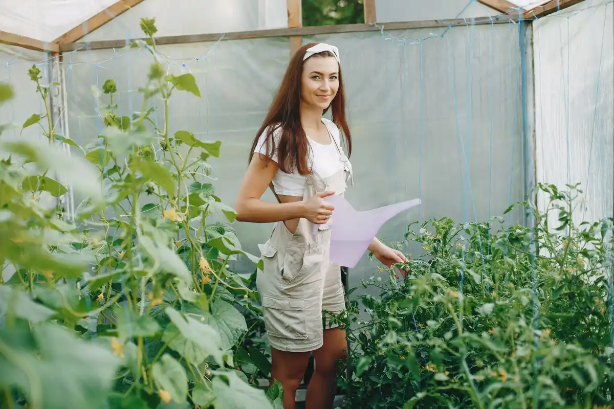 dutch vegetable garden pests protection natural methods