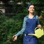 lush green lawn garden care tips