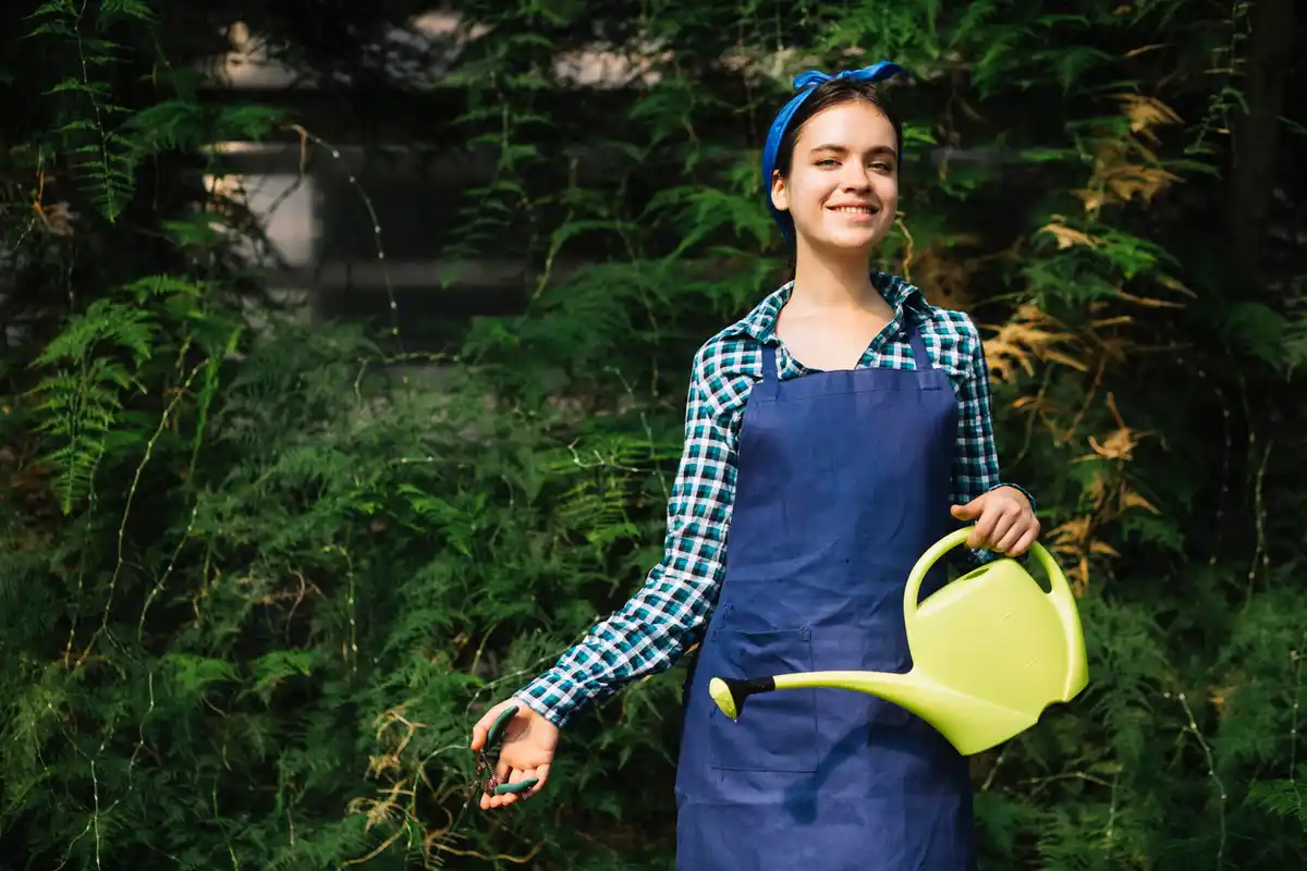 lush green lawn garden care tips