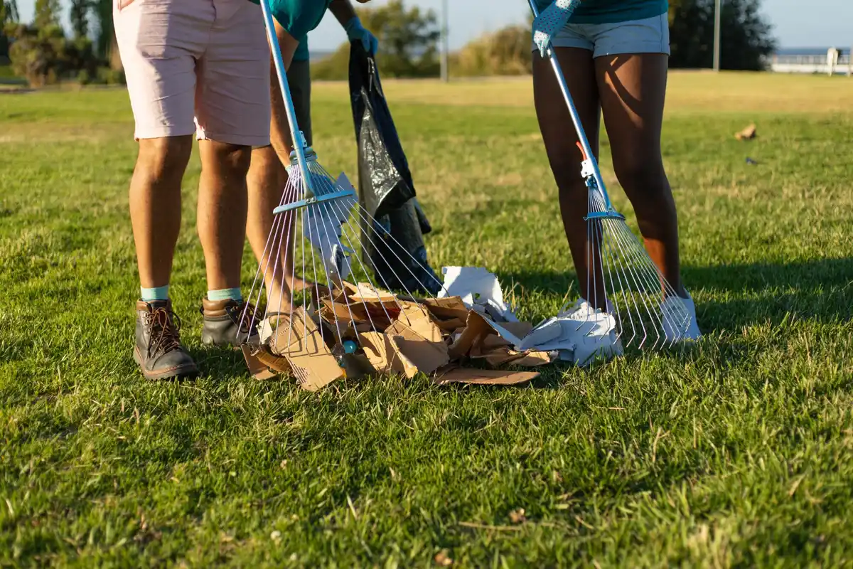 Dutch green lawn care mistakes
