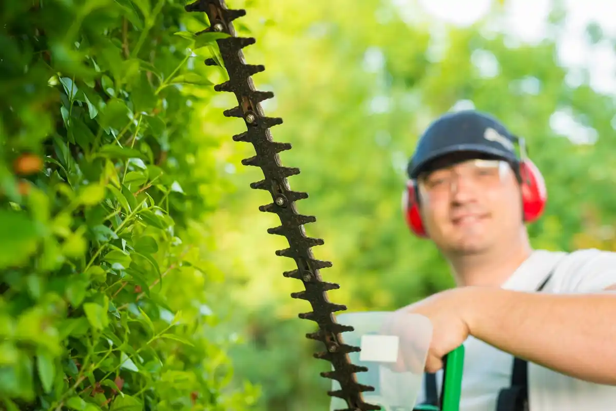 Lawn mower cutting grass at correct height