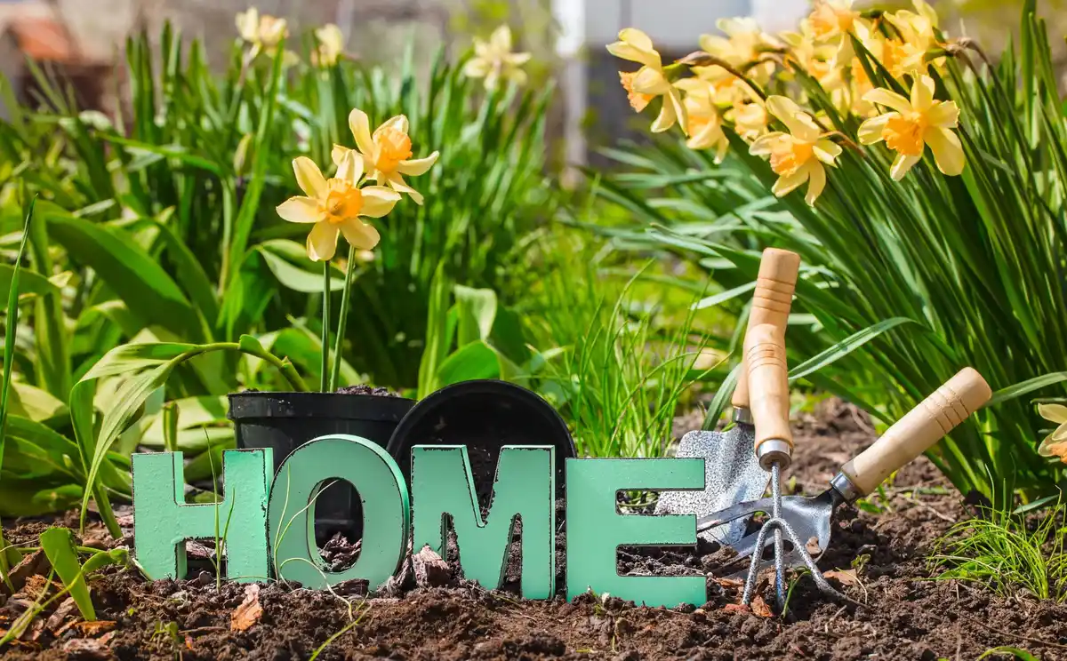 spring dutch garden lawn care
