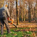 early morning lawn mowing Netherlands garden