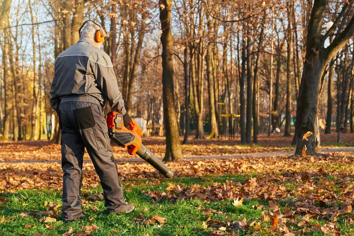 early morning lawn mowing Netherlands garden