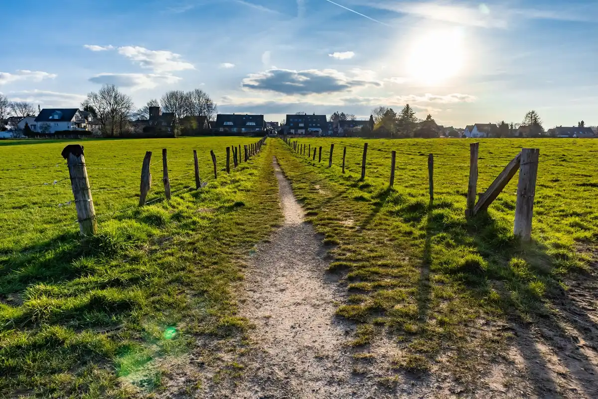 lawn mowing early morning netherlands