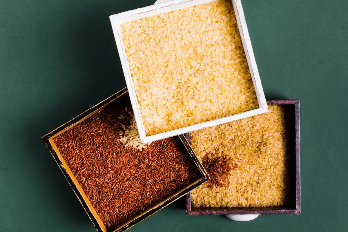 different types of grass seeds mix