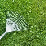 lawn aeration and grass repair gardening tool