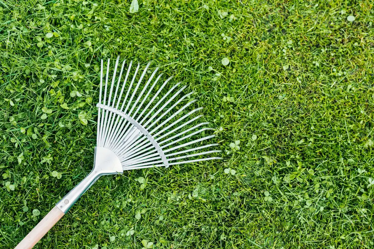 lawn aeration and grass repair gardening tool