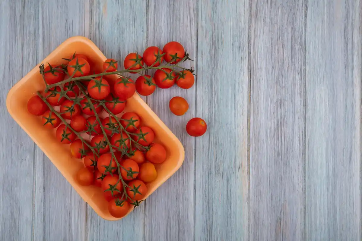 homegrown cherry tomatoes on balcony