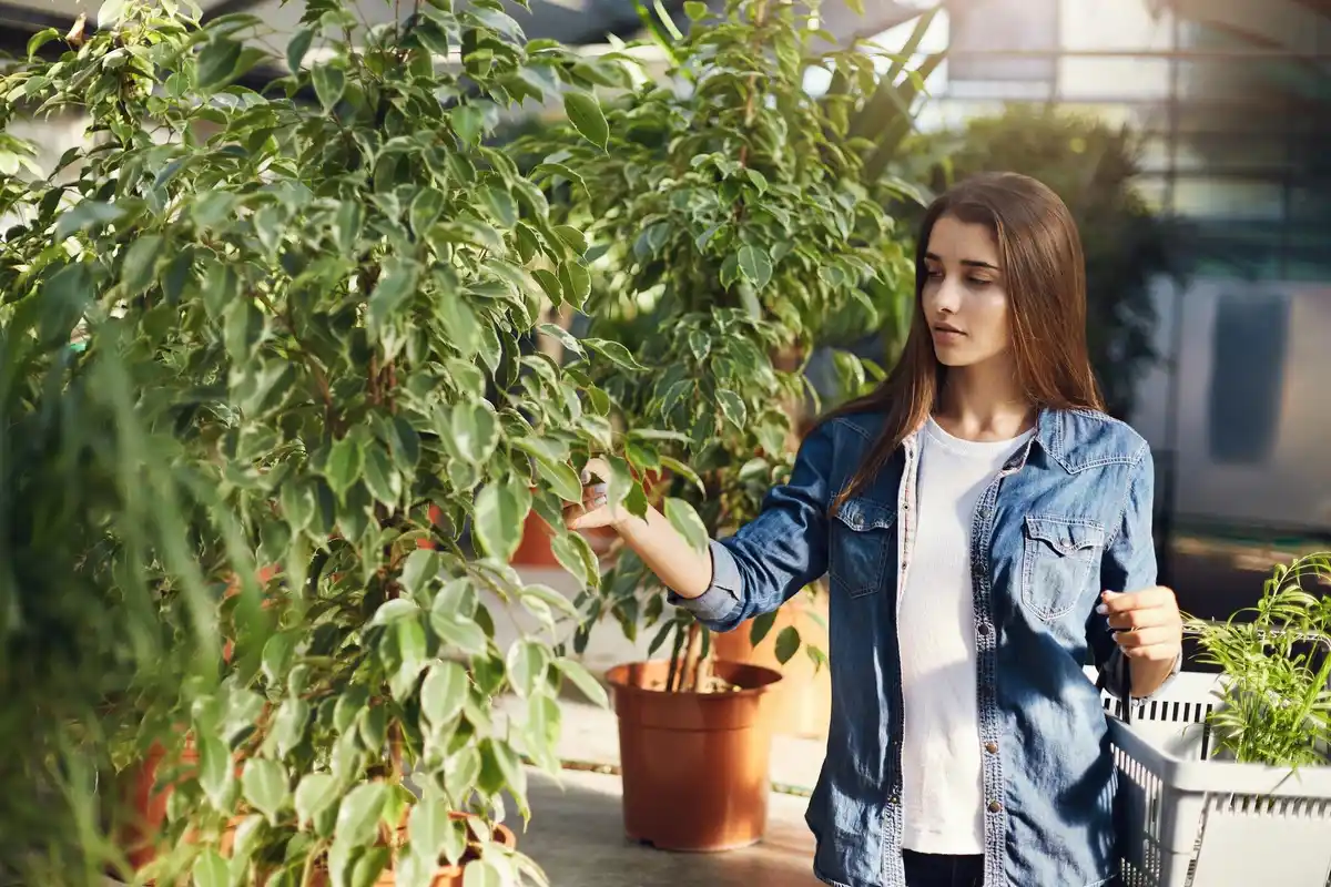 balcony vegetable garden in urban apartment