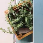 small urban balcony garden cozy plants vertical planters