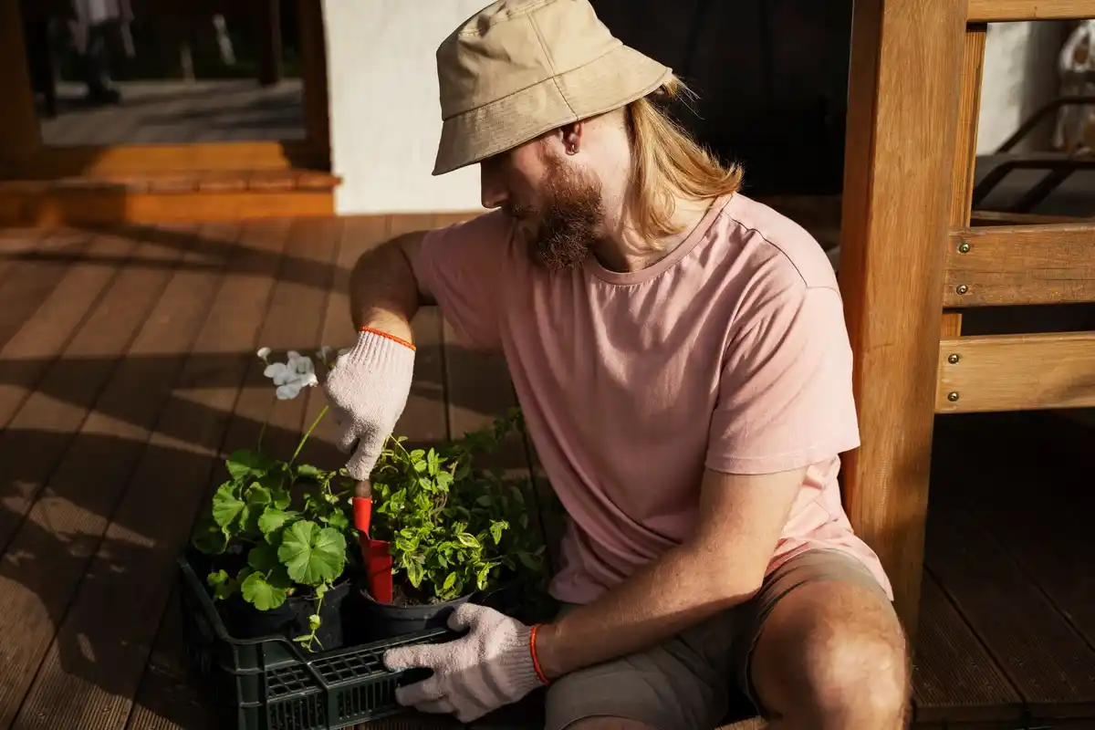 urban container garden harvest fresh vegetables nederland
