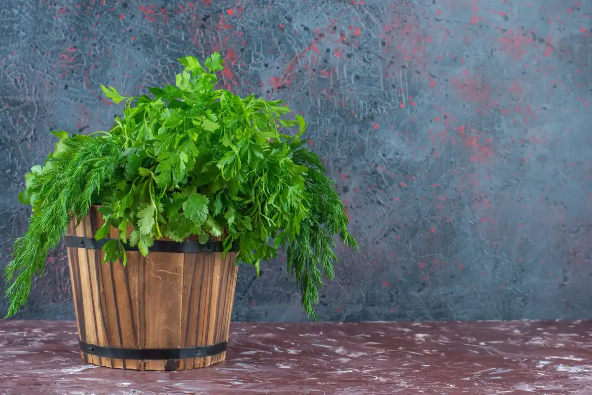 container garden with tomatoes and herbs on balcony