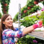 container vegetable garden balcony colorful fresh organic