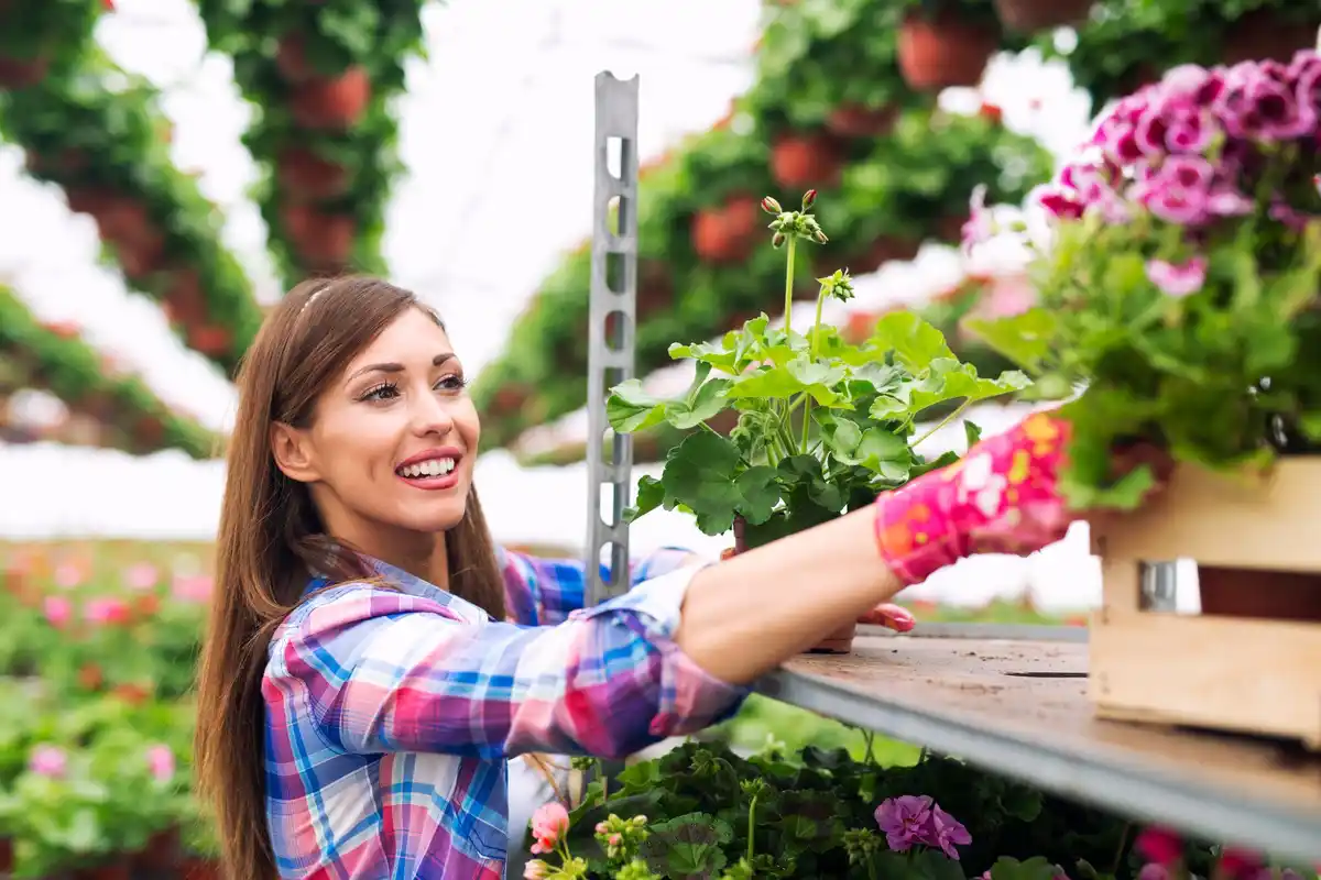 container vegetable garden balcony colorful fresh organic