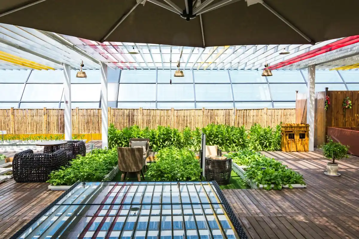 balcony vegetable garden urban Netherlands