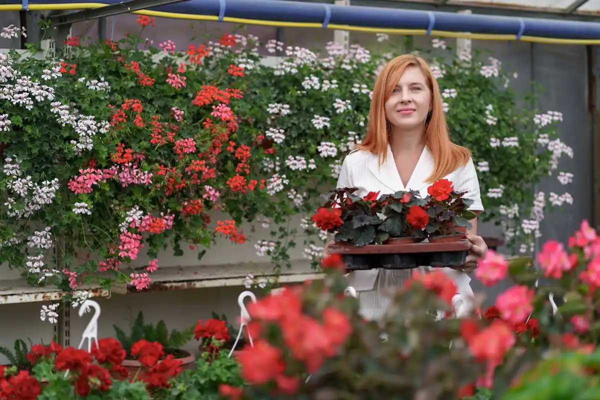 small urban balcony garden beginner tips Netherlands
