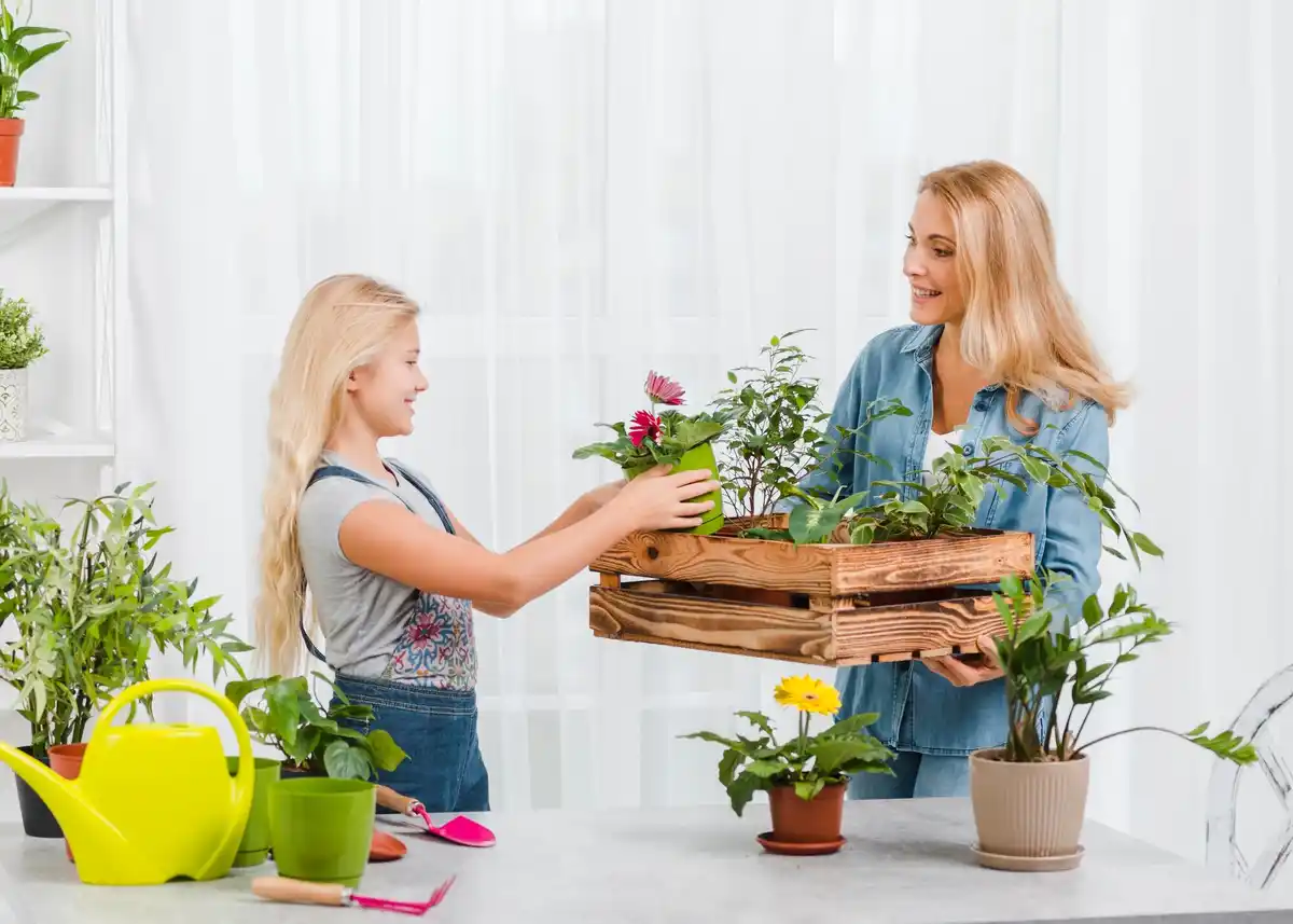 urban balcony vegetable container garden fresh harvest