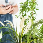 smart garden irrigation system automated watering backyard