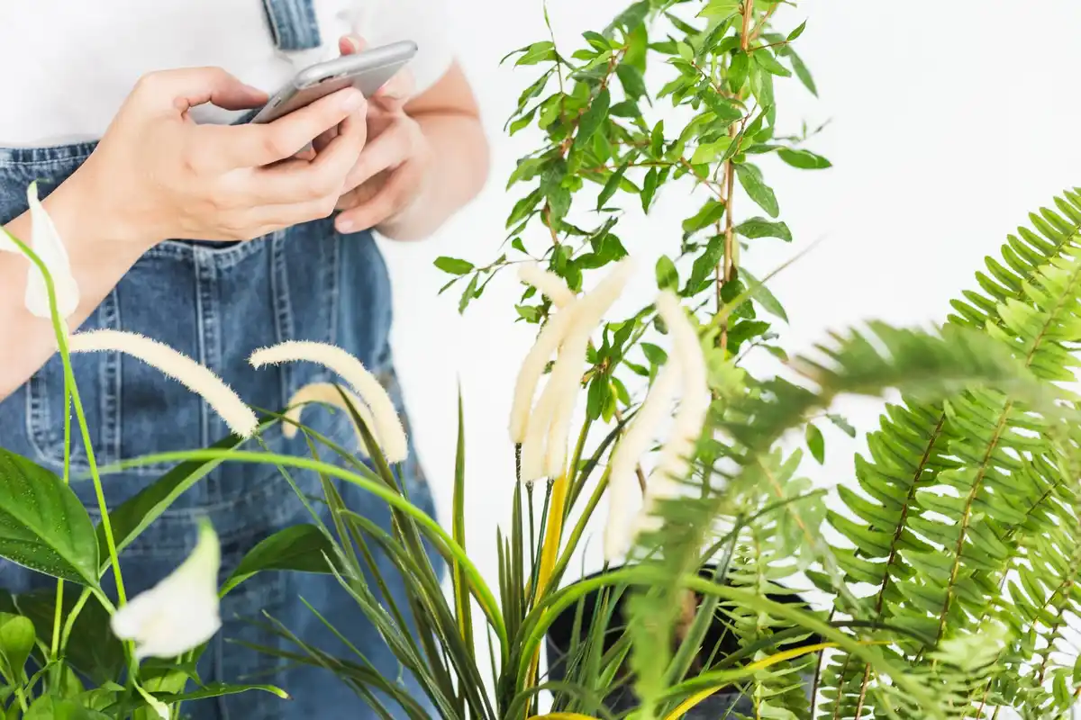 smart garden irrigation system automated watering backyard