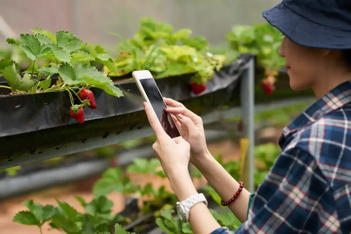 smart garden irrigation system drip watering