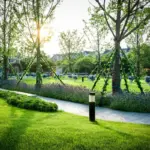 automated garden irrigation system Netherlands backyard
