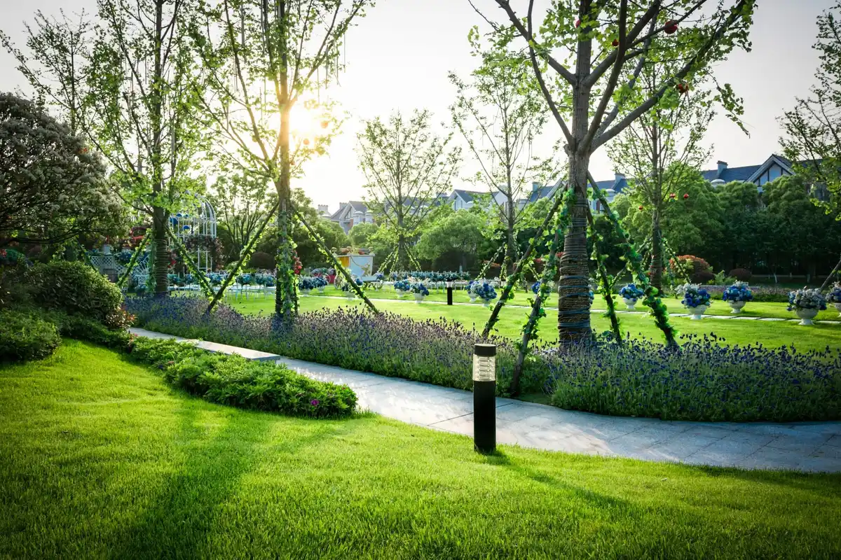 automated garden irrigation system Netherlands backyard
