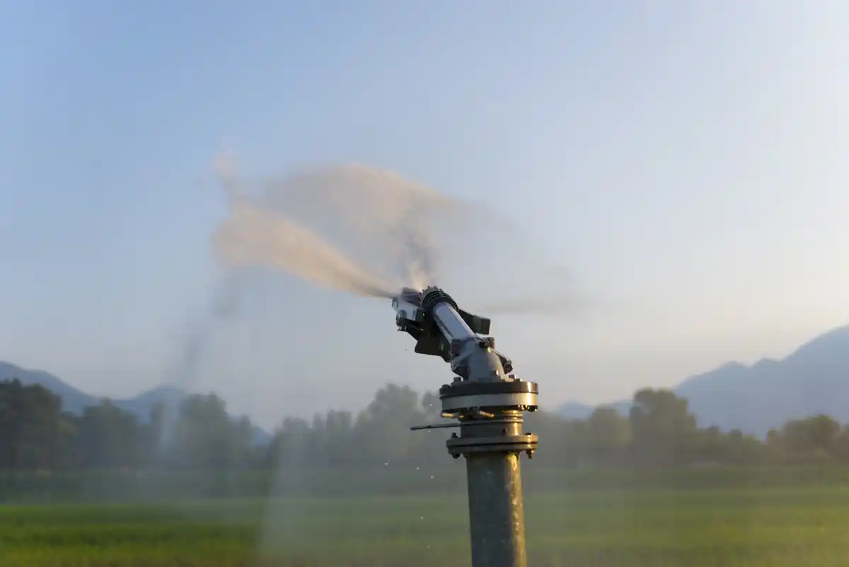 garden sprinkler with rain sensor in dutch backyard