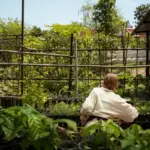 low maintenance green garden without watering
