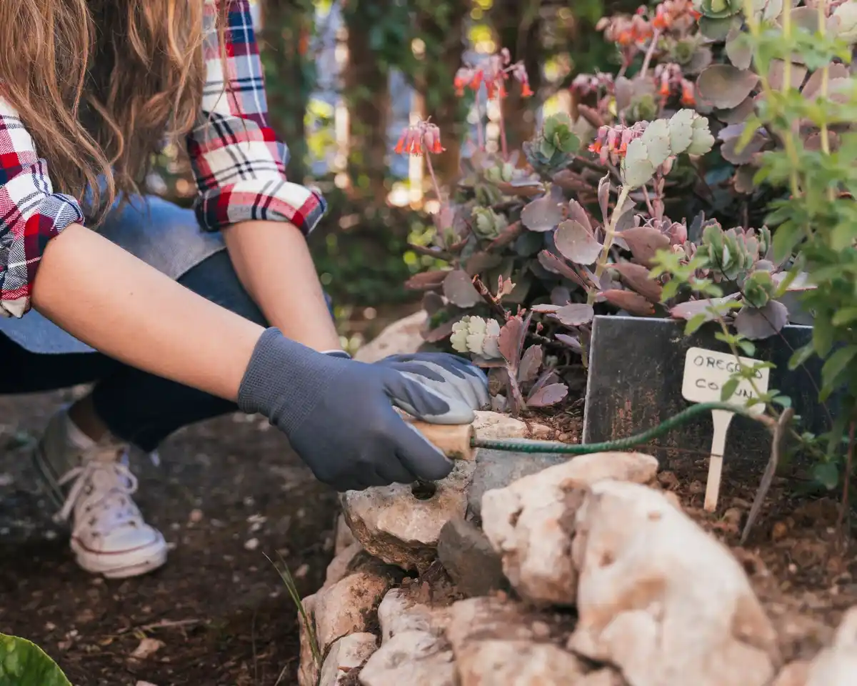 mulching garden soil dry climate