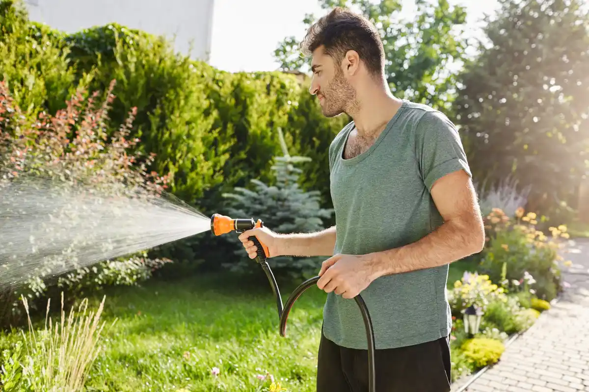 garden watering system automated backyard