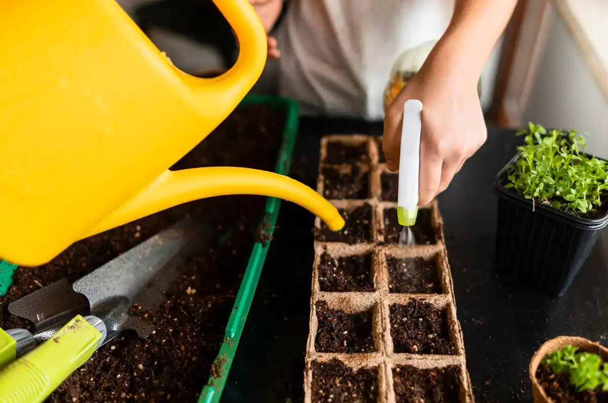 garden soil moisture sensor watering system