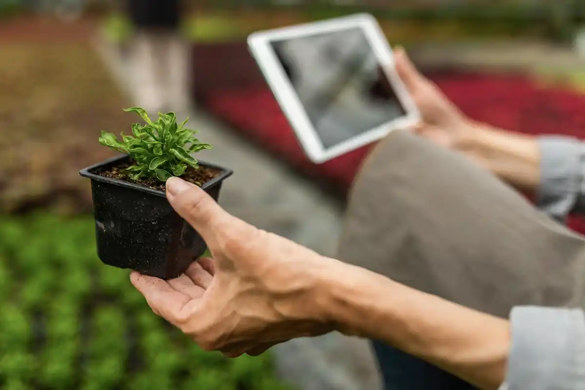 smart irrigation system garden