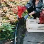 automatic garden irrigation system backyard