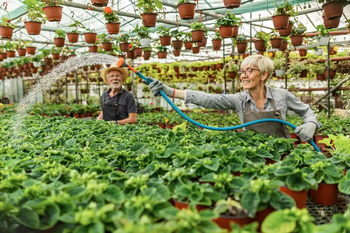 automatic garden irrigation system