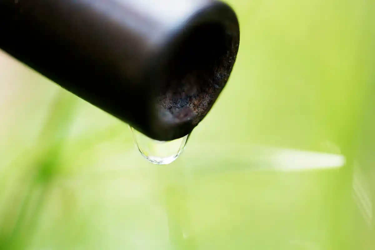 automatic irrigation system installed in backyard