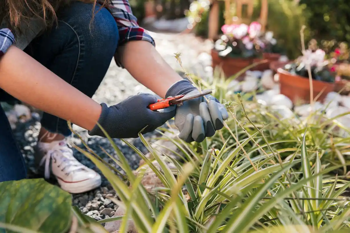 automatic garden irrigation system installation