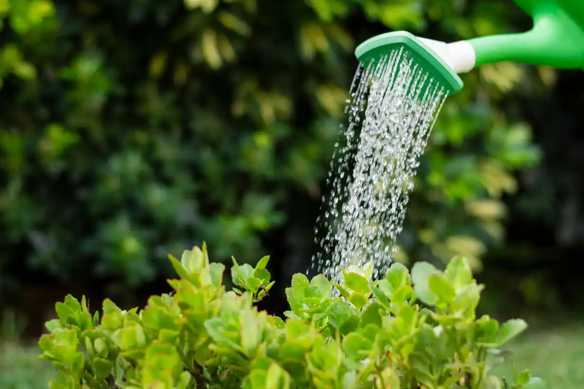 garden irrigation system with timer and sprinklers