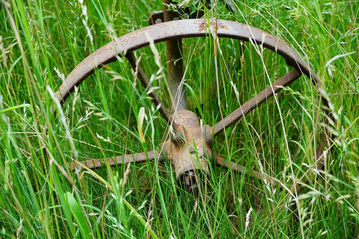 lawn mowing wrong way overcut grass