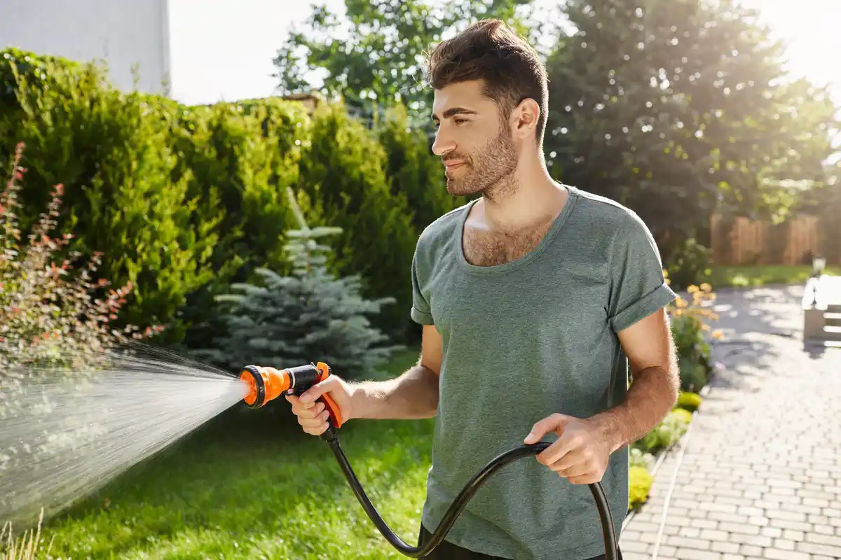 watering lawn with hose early morning