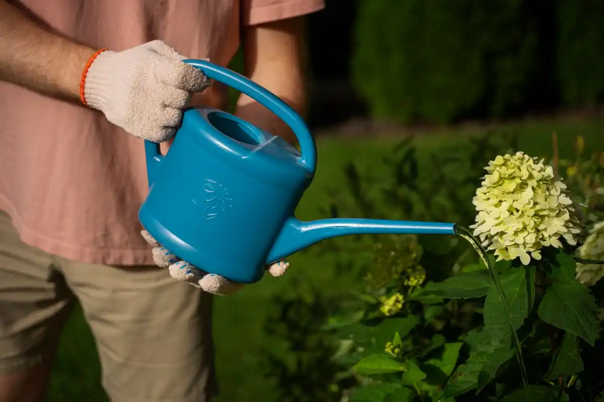 watering vegetable garden soil hands gardening