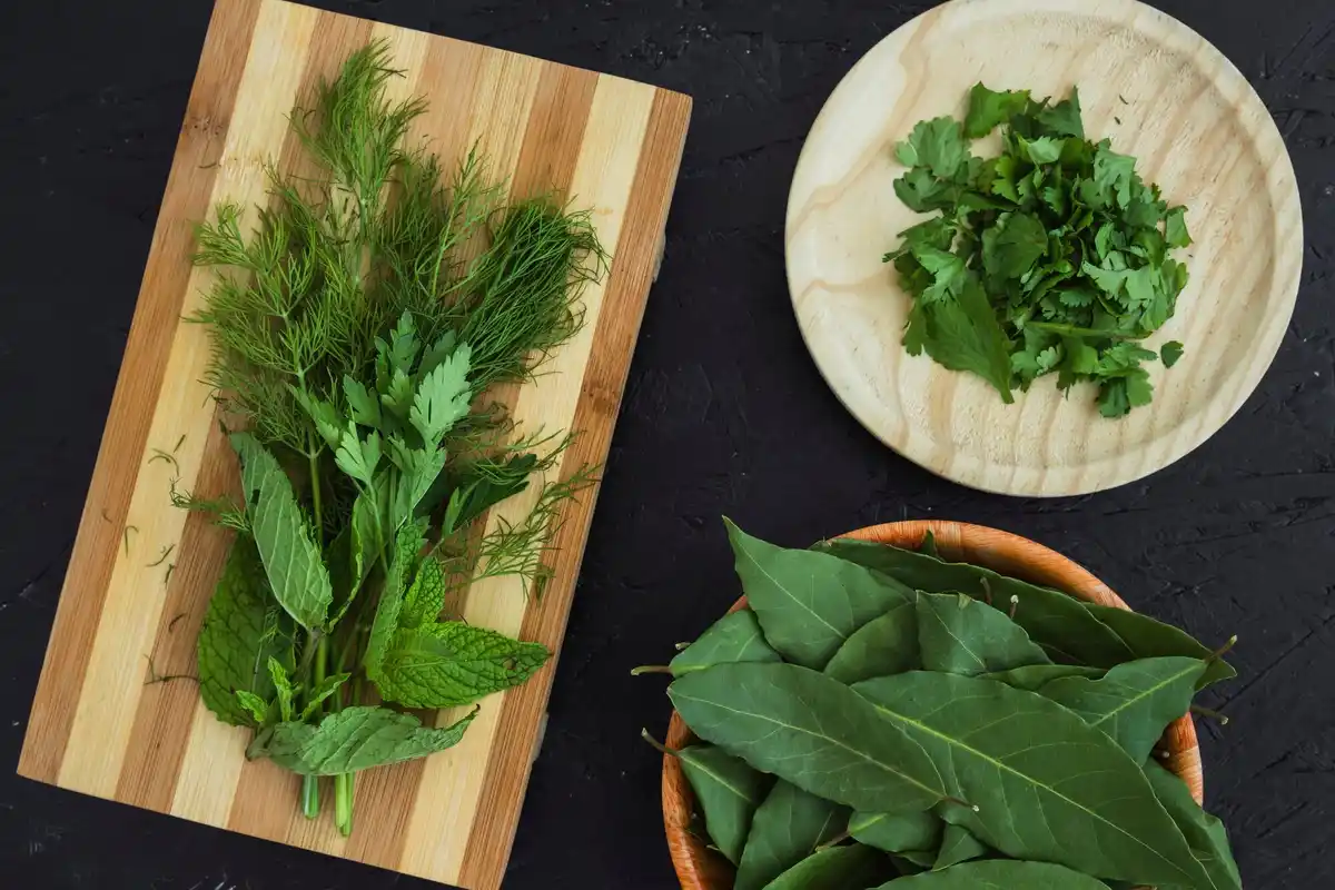 freshly harvested fresh herbs kitchen