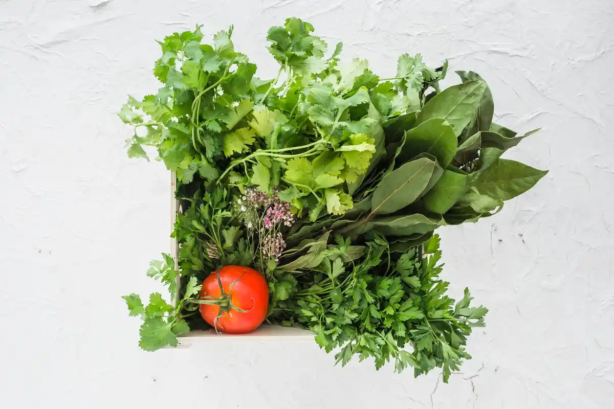 DIY vertical garden with fresh vegetables