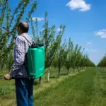 natural pest control garden Netherlands