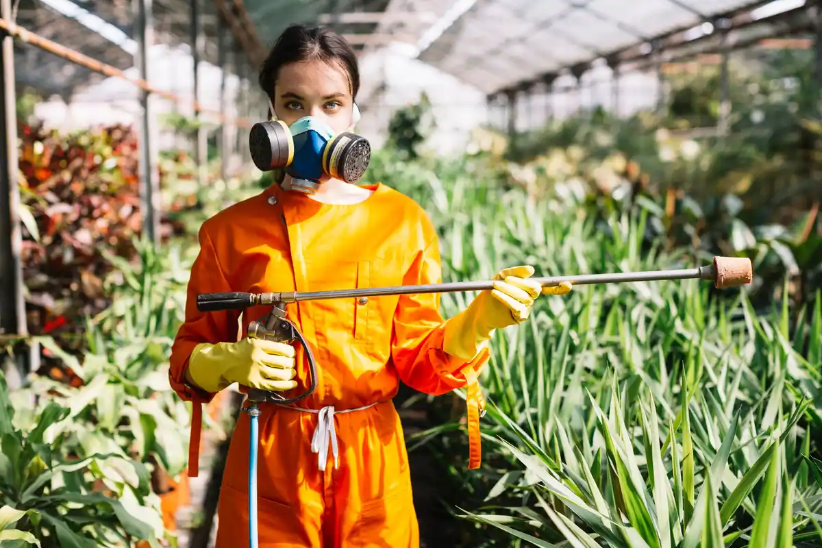 Organic gardening natural pest control Netherlands